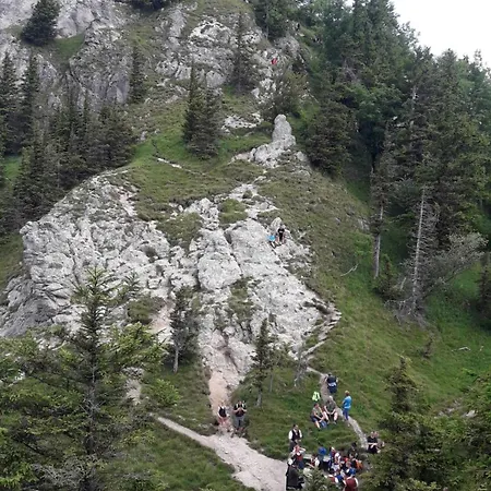 Moorblick Apartment *